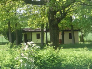 cimg1749.jpg